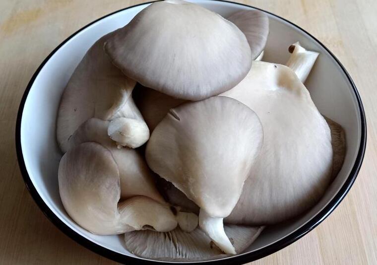 平菇